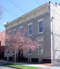 first cherry blossoms appear at 27 Washington Ave. in the Schenectady NY Stockade - 21Apr2013
