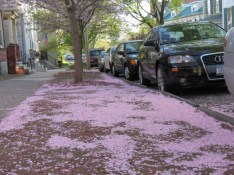 cb2013-grounded03May