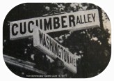 CucumberAlleySign-Gazette15Jun1977