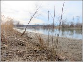 riparianbeach08Apr2013