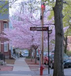 cb2013-CucAlviewN28Apr2013