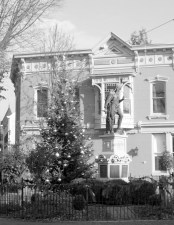 2013StockadeTRee-bwv