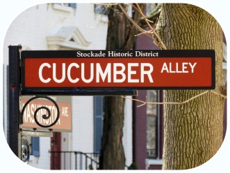 Historic Stockade District street sign for Cucumber Alley at Washington Avenue