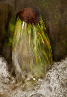 Flat_Water_Rush_27510