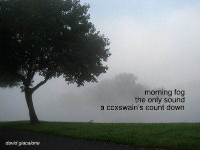 fogcoxswainhaiga