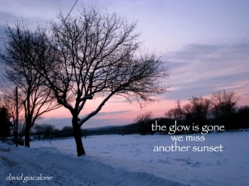 glowgonehaiga