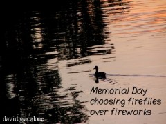 haigamemdaysunsetduck1