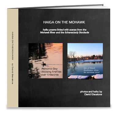 HaigaOnMohawkCoverH4