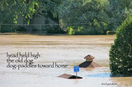 IreneStockade-gazebo