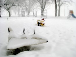 25Feb2011-shuttleplus