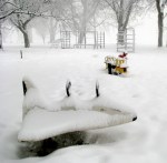 25feb2011-shuttleplus