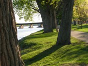 dockview29apr10nofertrees