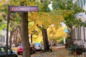 stockade-cuc-wash-autumn