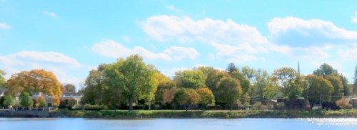 WestLawnfromscotiaOct2013