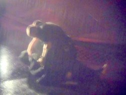 2AM07May 2017DSCF2862