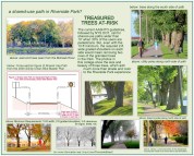 RiversideBikesTreeCollage