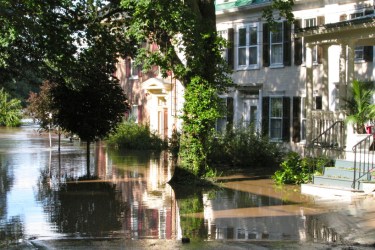 TUIreneStockade-WashAv2011-001