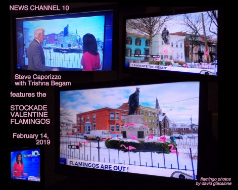 CaporizzoFlamingos2019