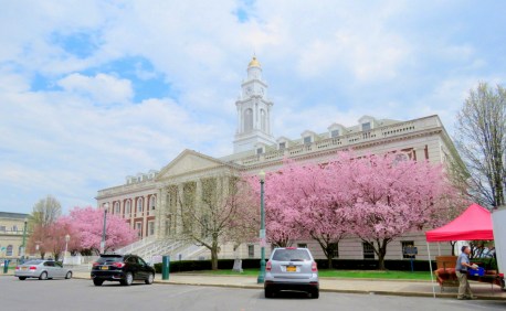 2018CityHallBlossomsS