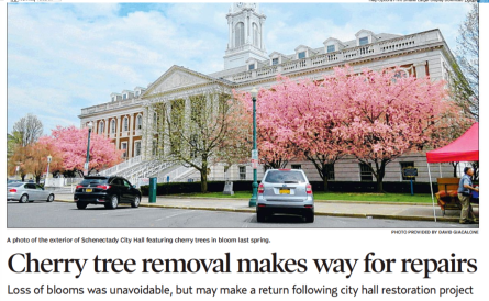 CherryTrees2018-Gaz29Apr2019