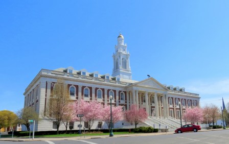 CityHallBlossoms28Apr2013