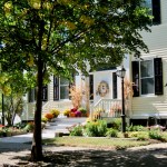 tree removed from SCHS&nbsp;front