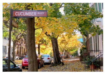 CucumberAlleyViewAutumn