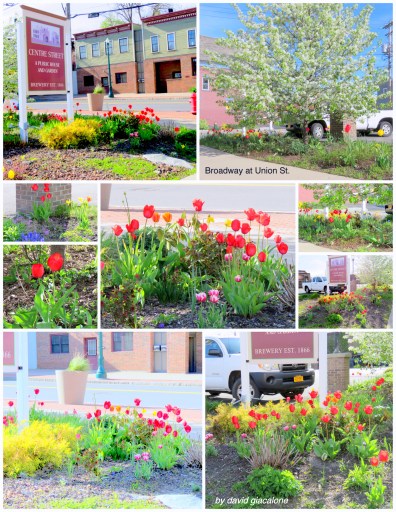 CentreStPub-flowersE