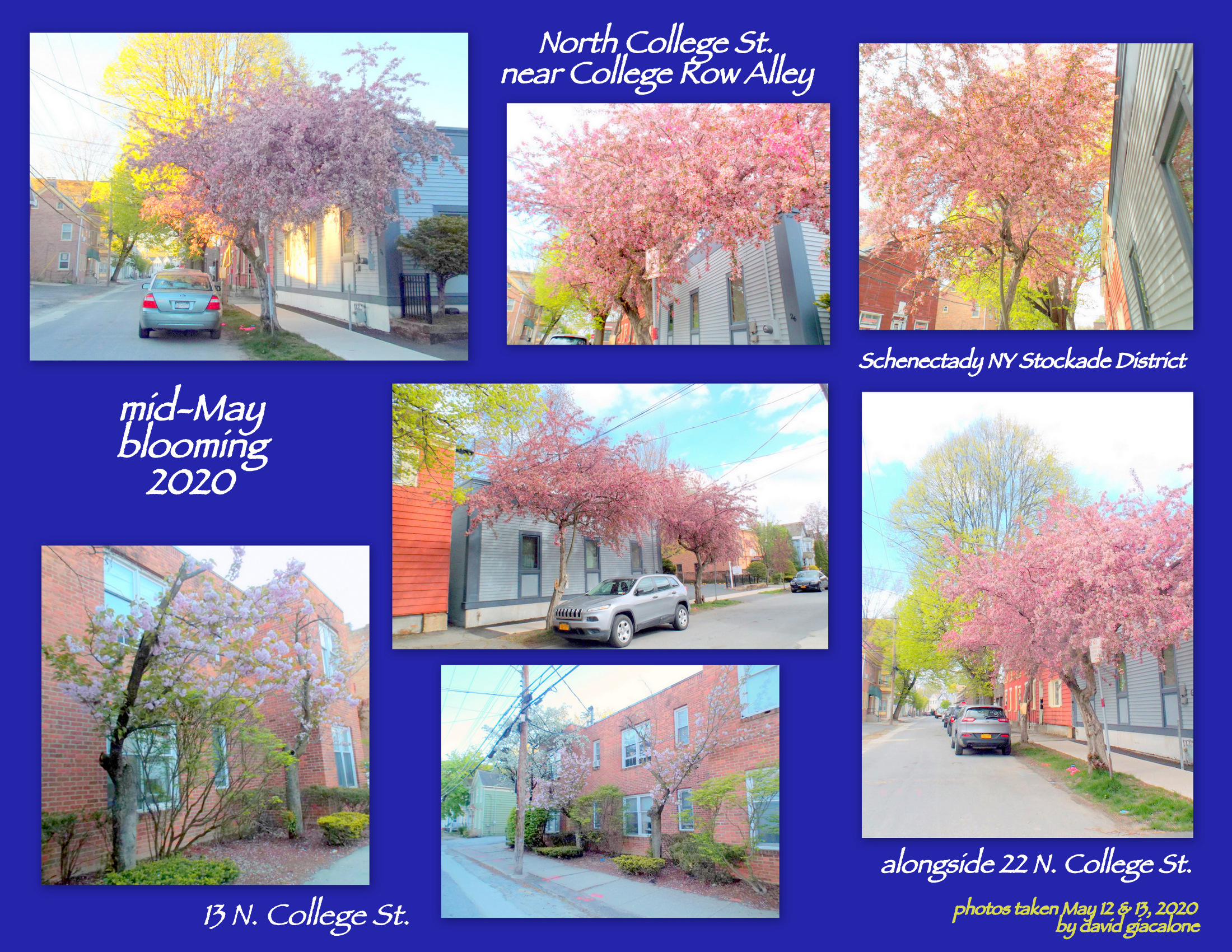 NoCollegeCollageMay2020e