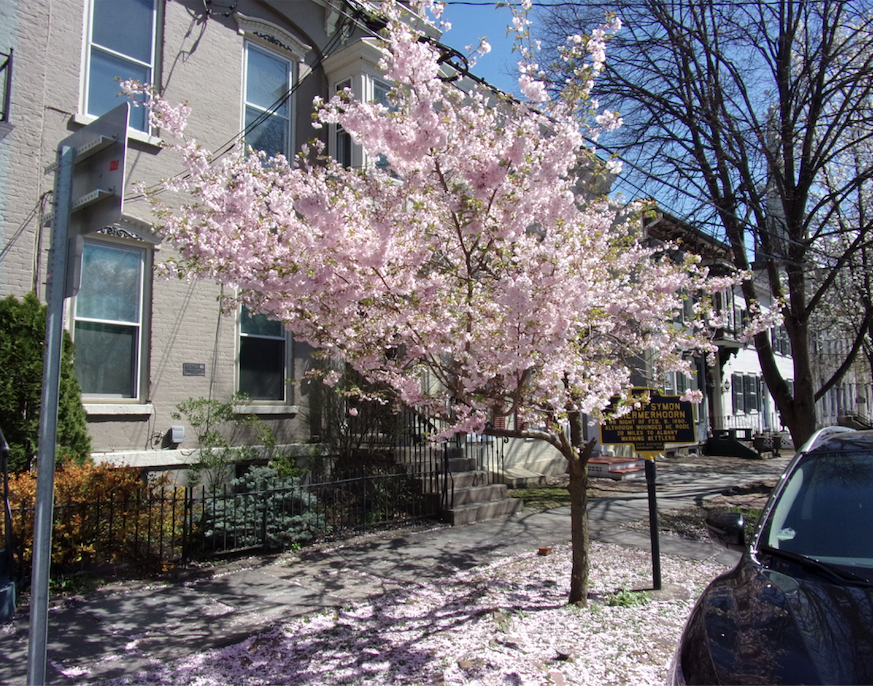 cbDown18Apr-20NChurchSt