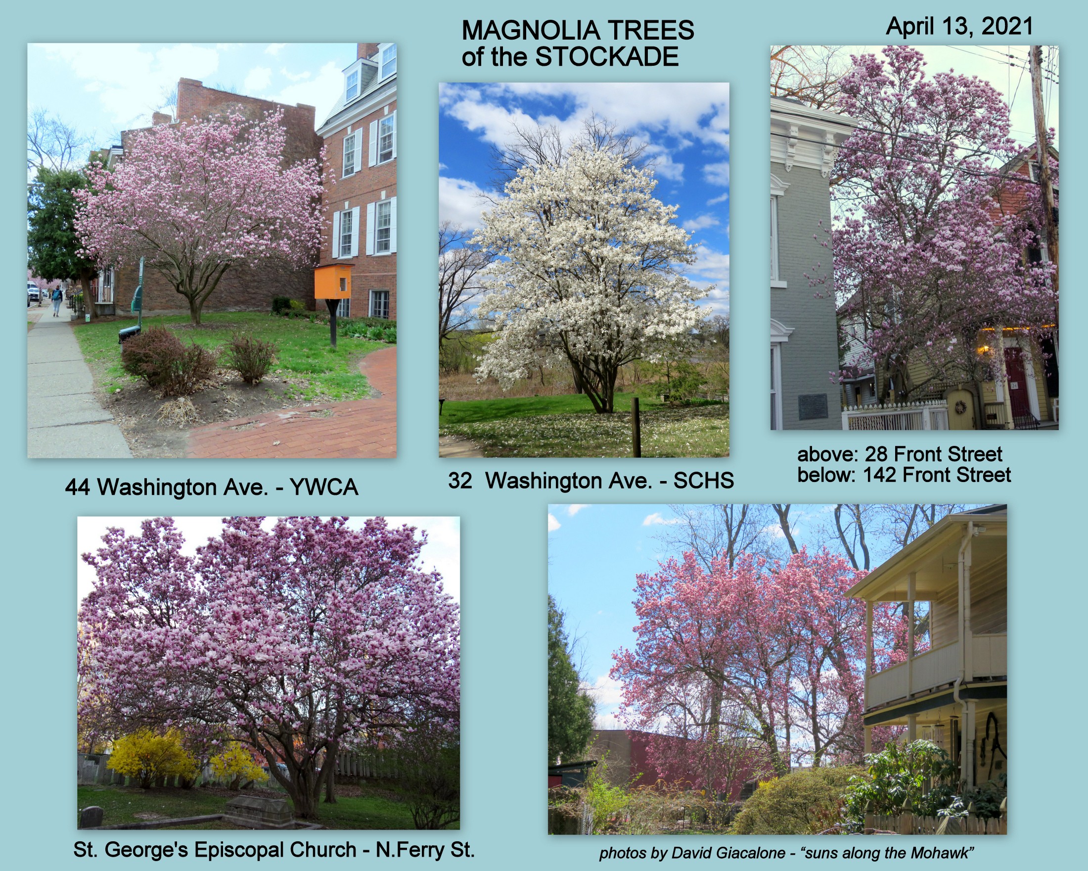 StockadeMagnolias2021