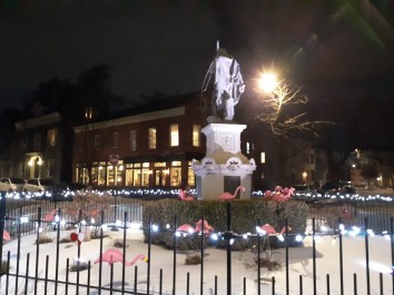 Flamingos2022-13Feb3