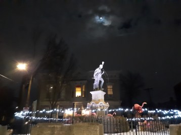 Flamingos2022-13Feb5