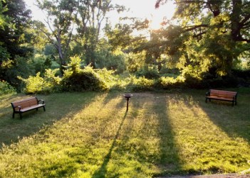 Jennifer'sLawn14Jul22