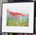 HonMen-Pohl-OctMorning