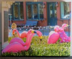 CanvasFlamingos-Arthur’s2022