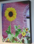207Union-SunflowerOnCanvas11x14