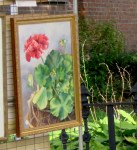 Judy Haller-D’Angelo-2