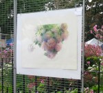 SOAS2023-beautyatthecircle