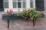 17Front-flowerboxes