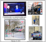 News10-FlamingosCErne14Feb2018