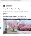 News10cherryblossoms15Apr2020