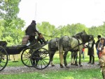 Lafayette-CarriageDriverHorses