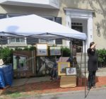 SOAS2025-MollieFlanneryAtExh