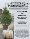 TreeOfPeace09Nov25